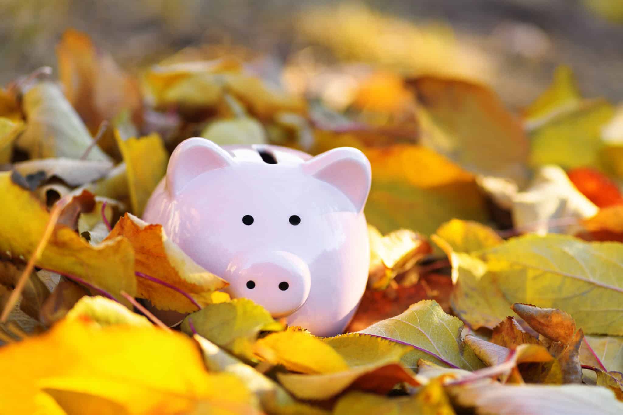 Piggybank sitting in fall leaves representing seasonal financial planning for the holidays.